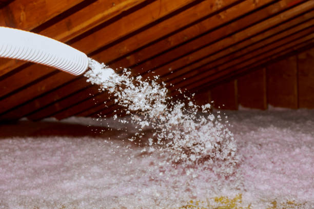 Best Insulation Maintenance and Repair in Harbor Springs, MI